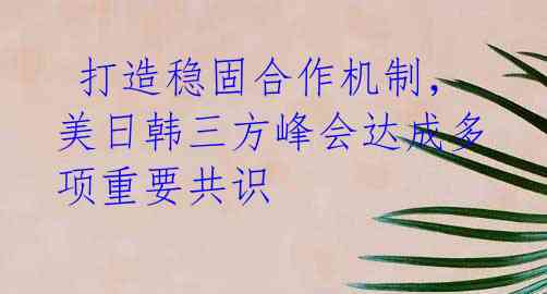  打造稳固合作机制，美日韩三方峰会达成多项重要共识