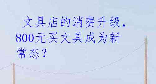  文具店的消费升级，800元买文具成为新常态？