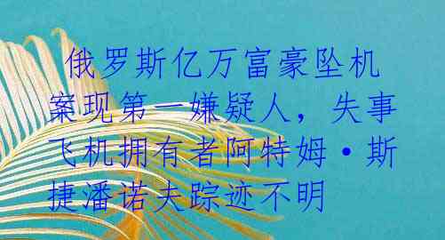  俄罗斯亿万富豪坠机案现第一嫌疑人，失事飞机拥有者阿特姆·斯捷潘诺夫踪迹不明