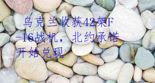  乌克兰收获42架F-16战机，北约承诺开始兑现