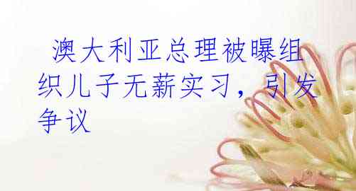 澳大利亚总理被曝组织儿子无薪实习，引发争议