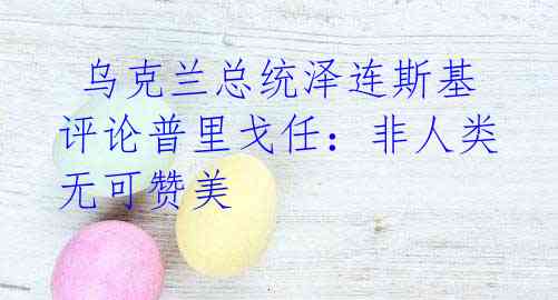  乌克兰总统泽连斯基评论普里戈任：非人类无可赞美