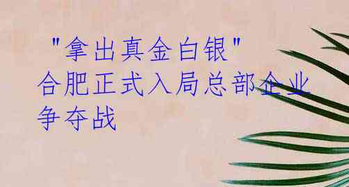  "拿出真金白银" 合肥正式入局总部企业争夺战