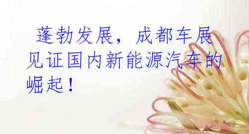  蓬勃发展，成都车展见证国内新能源汽车的崛起！