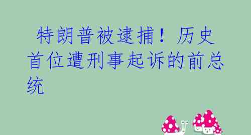 特朗普被逮捕！历史首位遭刑事起诉的前总统