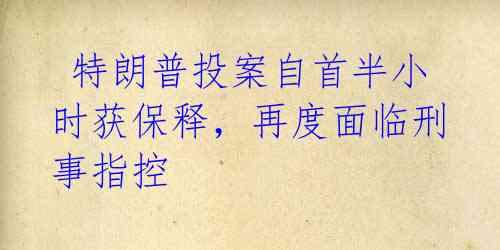  特朗普投案自首半小时获保释，再度面临刑事指控