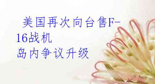  美国再次向台售F-16战机 岛内争议升级