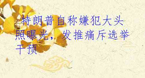  特朗普自称嫌犯大头照曝光，发推痛斥选举干预