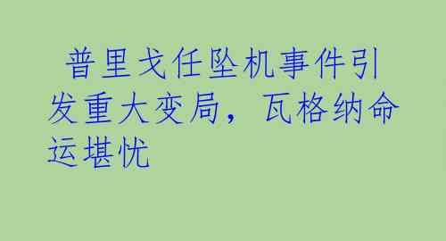  普里戈任坠机事件引发重大变局，瓦格纳命运堪忧