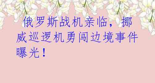  俄罗斯战机亲临，挪威巡逻机勇闯边境事件曝光！