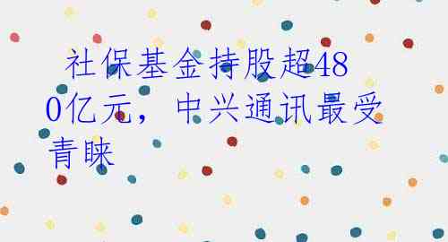 社保基金持股超480亿元，中兴通讯最受青睐
