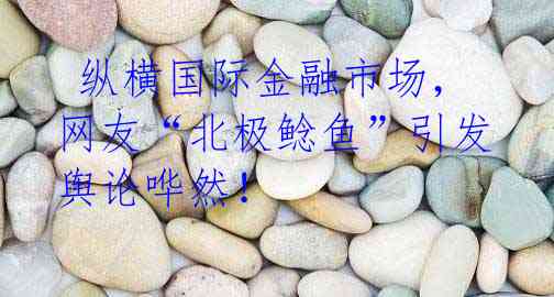  纵横国际金融市场，网友“北极鲶鱼”引发舆论哗然！