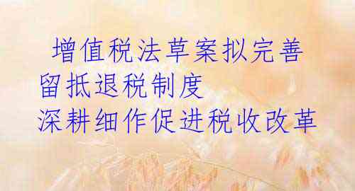  增值税法草案拟完善留抵退税制度 深耕细作促进税收改革