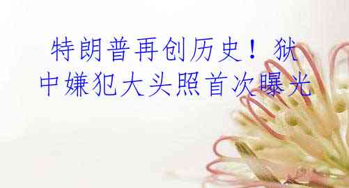  特朗普再创历史！狱中嫌犯大头照首次曝光