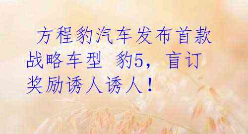  方程豹汽车发布首款战略车型 豹5，盲订奖励诱人诱人！