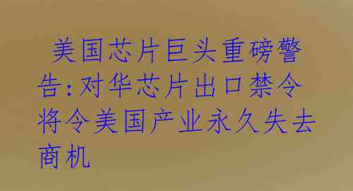  美国芯片巨头重磅警告:对华芯片出口禁令将令美国产业永久失去商机