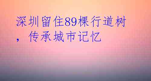 深圳留住89棵行道树，传承城市记忆