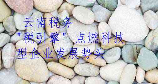  云南税务 "税引擎" 点燃科技型企业发展势头