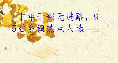  中年干部无进路，95后乡镇热点人选
