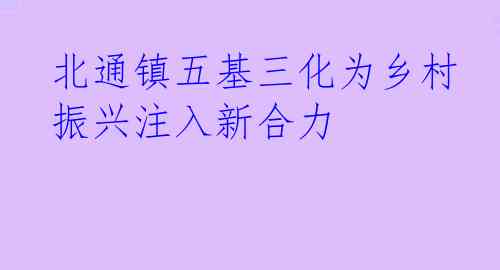 北通镇五基三化为乡村振兴注入新合力