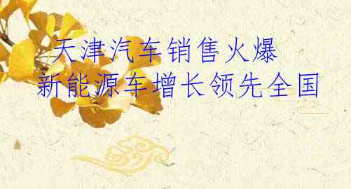  天津汽车销售火爆 新能源车增长领先全国