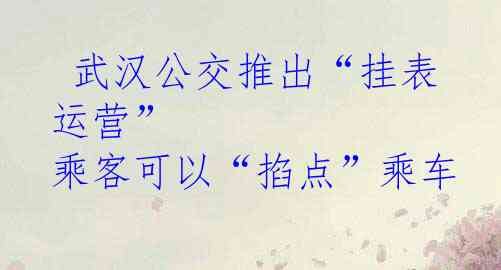  武汉公交推出“挂表运营” 乘客可以“掐点”乘车