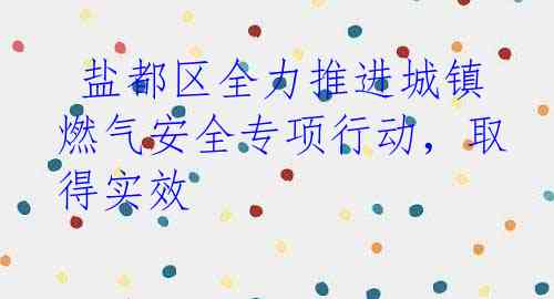  盐都区全力推进城镇燃气安全专项行动，取得实效