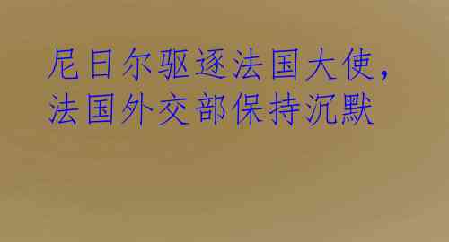 尼日尔驱逐法国大使，法国外交部保持沉默