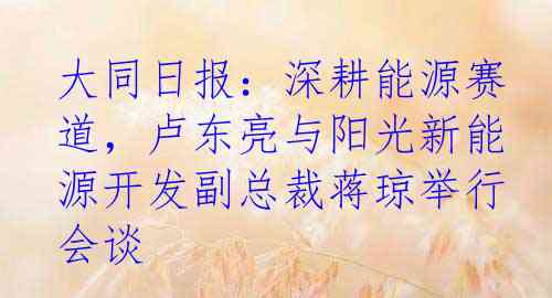 大同日报：深耕能源赛道，卢东亮与阳光新能源开发副总裁蒋琼举行会谈