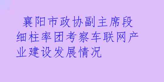  襄阳市政协副主席段细柱率团考察车联网产业建设发展情况
