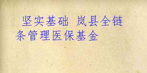  坚实基础 岚县全链条管理医保基金