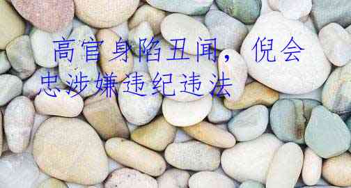  高官身陷丑闻，倪会忠涉嫌违纪违法