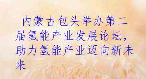  内蒙古包头举办第二届氢能产业发展论坛，助力氢能产业迈向新未来