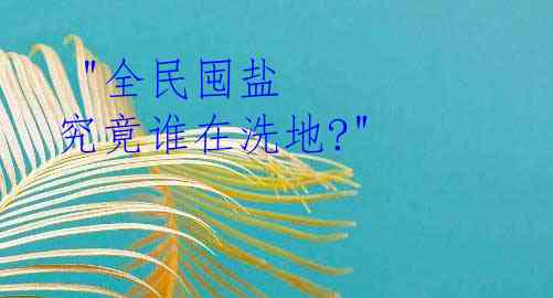  "全民囤盐 究竟谁在洗地?"