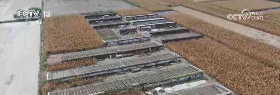  泛滥退去 各方努力重建受灾农田