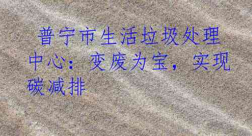  普宁市生活垃圾处理中心：变废为宝，实现碳减排
