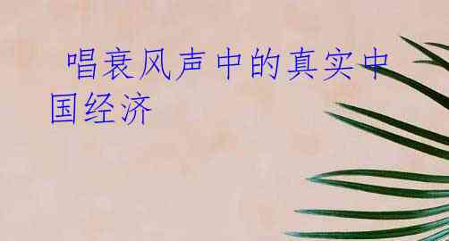  唱衰风声中的真实中国经济