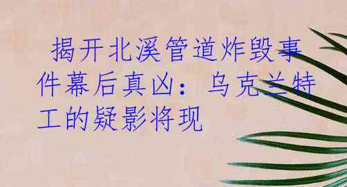  揭开北溪管道炸毁事件幕后真凶：乌克兰特工的疑影将现