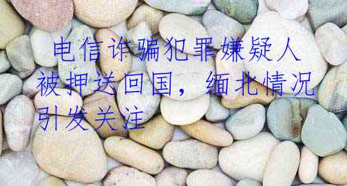  电信诈骗犯罪嫌疑人被押送回国，缅北情况引发关注