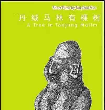  《野蛮女力量：李圆满重观自我，绽放身心之美》