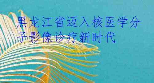 黑龙江省迈入核医学分子影像诊疗新时代