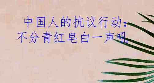  中国人的抗议行动：不分青红皂白一声吼 