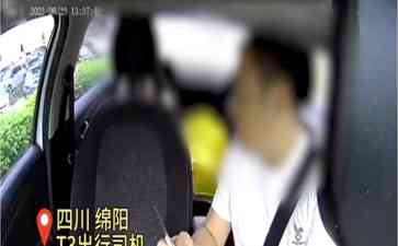 出租车司机见义勇为救女乘客 善举获赞