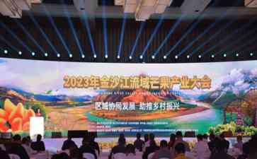 金沙江流域芒果产业大会成立联盟，推动芒果产业发展