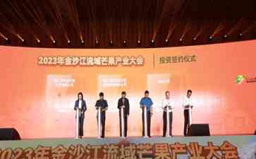 金沙江流域芒果产业大会成立联盟，推动芒果产业发展