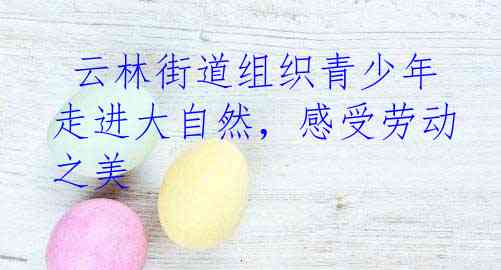  云林街道组织青少年走进大自然，感受劳动之美