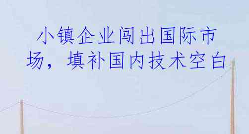  小镇企业闯出国际市场，填补国内技术空白