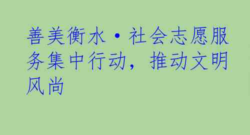 善美衡水·社会志愿服务集中行动，推动文明风尚