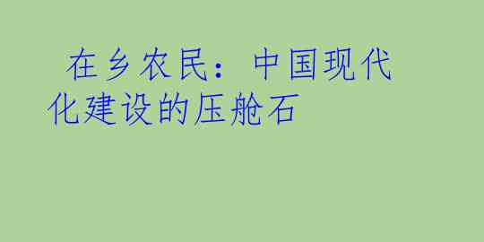  在乡农民：中国现代化建设的压舱石
