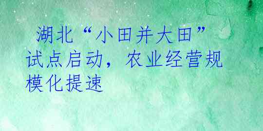  湖北“小田并大田”试点启动，农业经营规模化提速